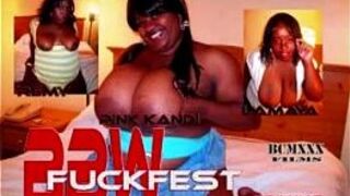 The Video Vault - porn video