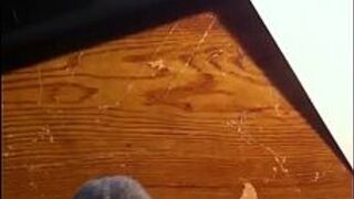 Tribute to my friends Girlfriend - porn video